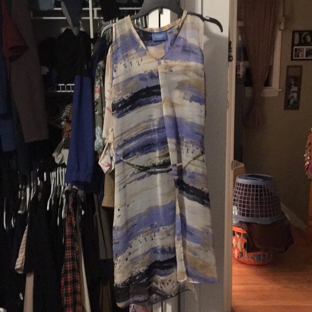 Vera wang cream, tan, blue sheer dress